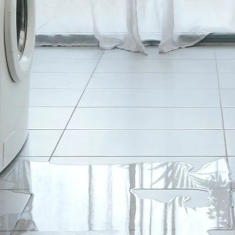 Appliance Leak Cleanup in Bamberg, SC