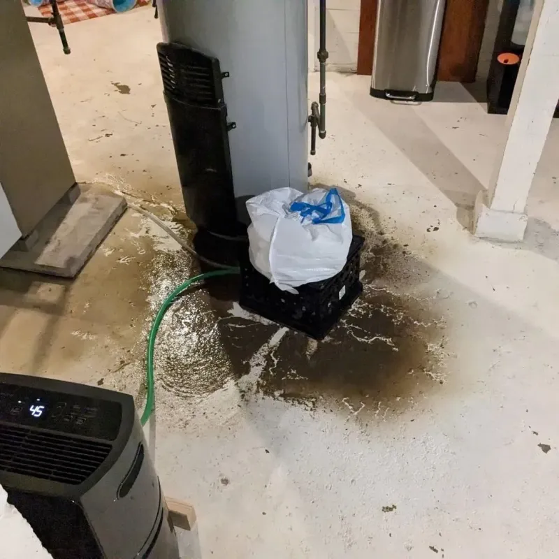 Sewage Backup Cleanup Service in Bamberg, SC